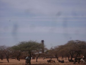 deforestatation in sudan